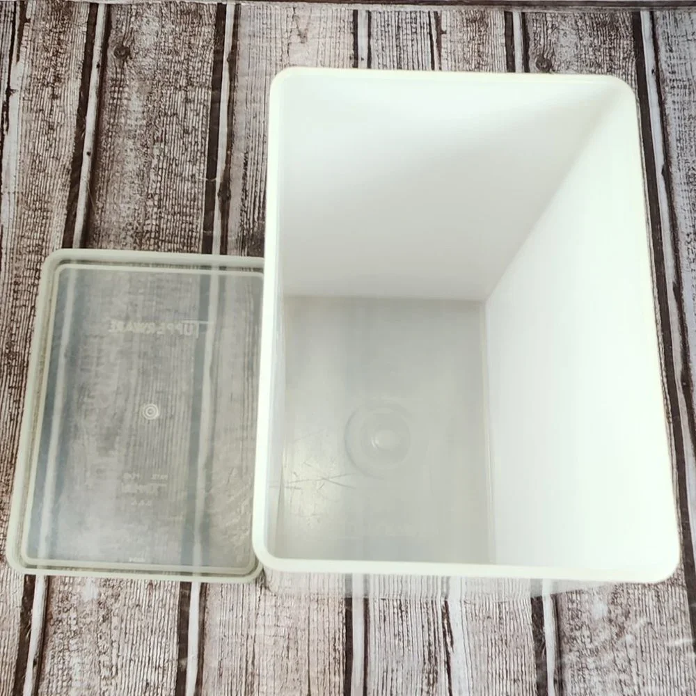 Vintage TUPPERWARE Ice Cream Freezer Storage Container #484-2 With Lid #486-1